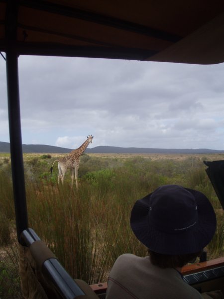 KeHa_in_South_Africa - 219